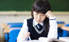 课外拓展与兴趣培养服务